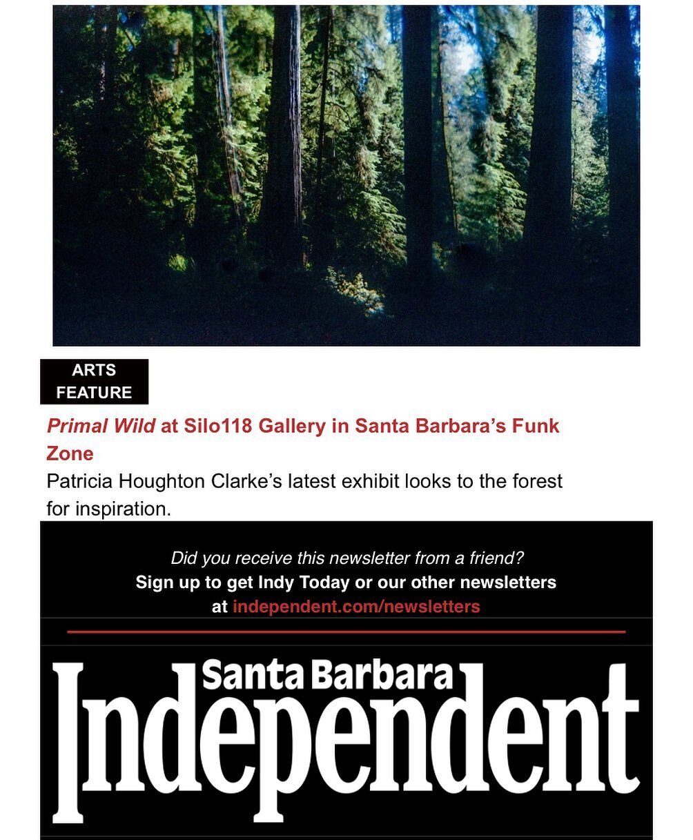 Check your inbox for emails from @sbindependent today. @silo_118  and @pcphotog are the Arts Feature of the day promoting our artist reception today at 5pm 118 Gray Ave Santa Barbara! See you there 

#savethetrees #redwoods #holgacamera #holgaphotogr