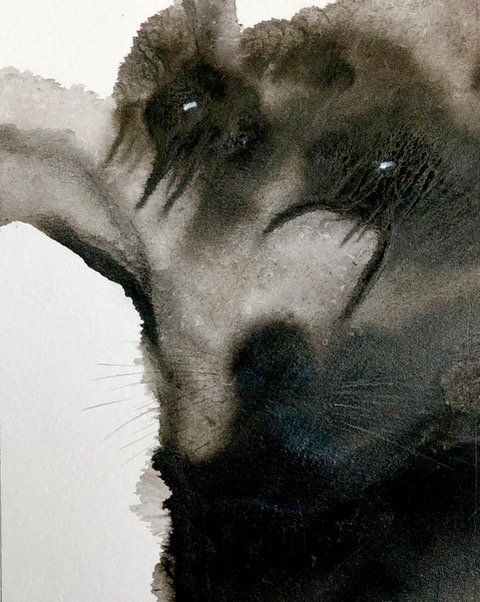 Ink Drops in Water #9