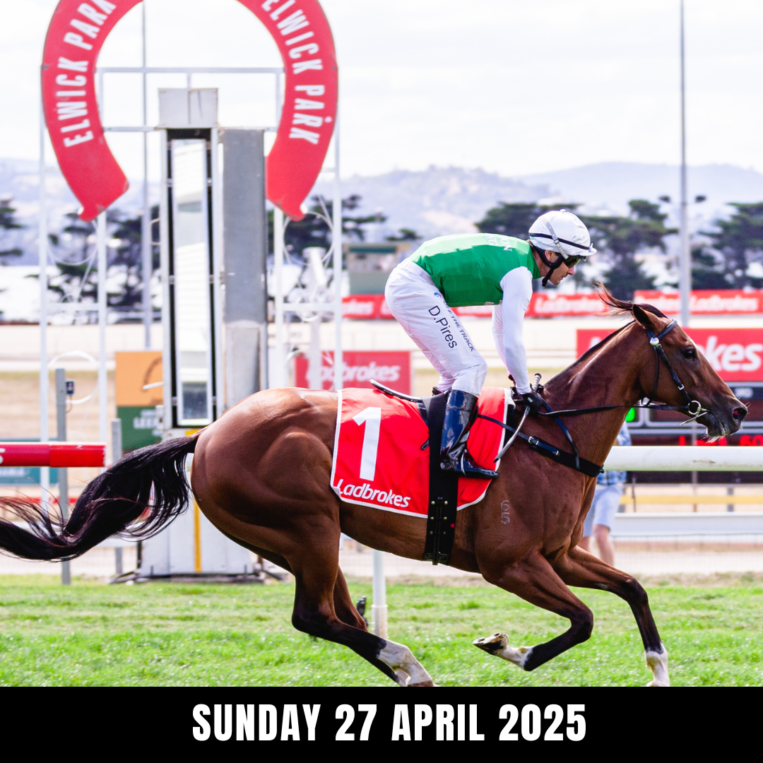 Race Calendar โ Tasmanian Racing Club Race Calendar โ Tasmanian Racing Club