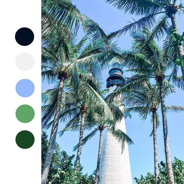 A true #TBT to that time I went to Key Biscayne! I love the complimenting contrast of the lighthouse, palm trees and blue skies. 🖤🤍💙💚
&bull;
&bull;
&bull;
&bull;
&bull;
 #colorpalette #colors #colorpaletteinspiration #inspo #makersgonnamake #sout