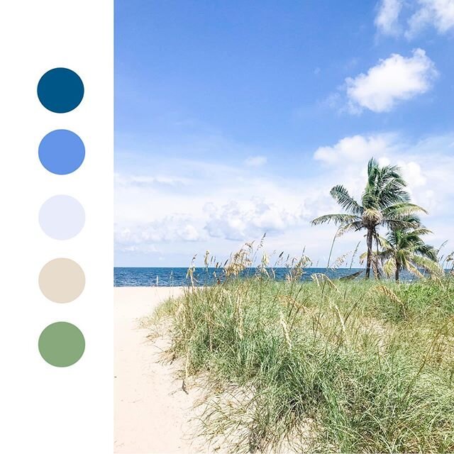 Friday&rsquo;s here, the beginning of #MDW, and I find myself once again longing for my favorite secret beach spot to open again! 🏖📖🕶👒🇺🇸
&bull;
&bull;
&bull;
&bull;
&bull;
 #colorpalette #colors #colorpaletteinspiration #inspo #makersgonnamake 