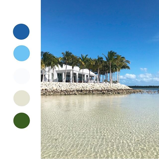 The final quarantine color palette might be my favorite because of that PER👏🏼FECT👏🏼GRA👏🏼DI👏🏼ENT👏🏼 sky! Take me back.
&bull;
&bull;
&bull;
&bull;
&bull;
 #colorpalette #colors #colorpaletteinspiration #inspo #makersgonnamake #southfloridades