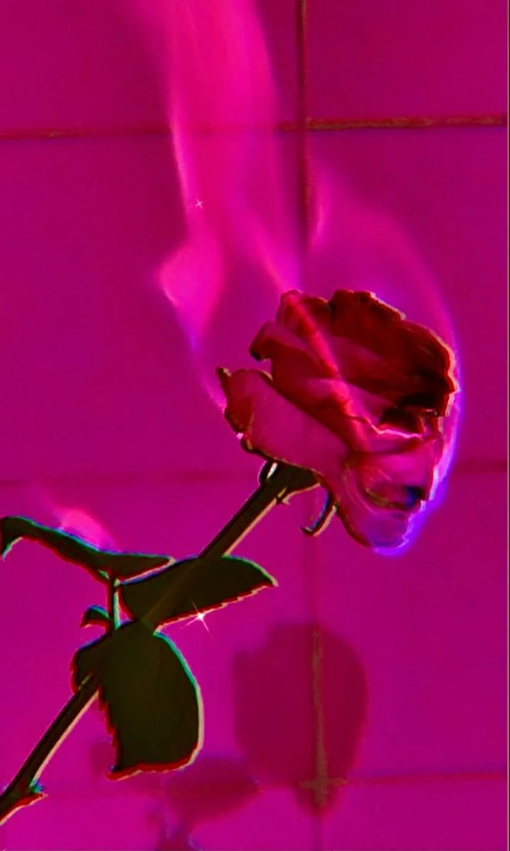Rose.jpeg