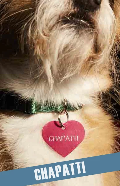 MCT's "Chapatti" is a Sweet, Surprising Love Story