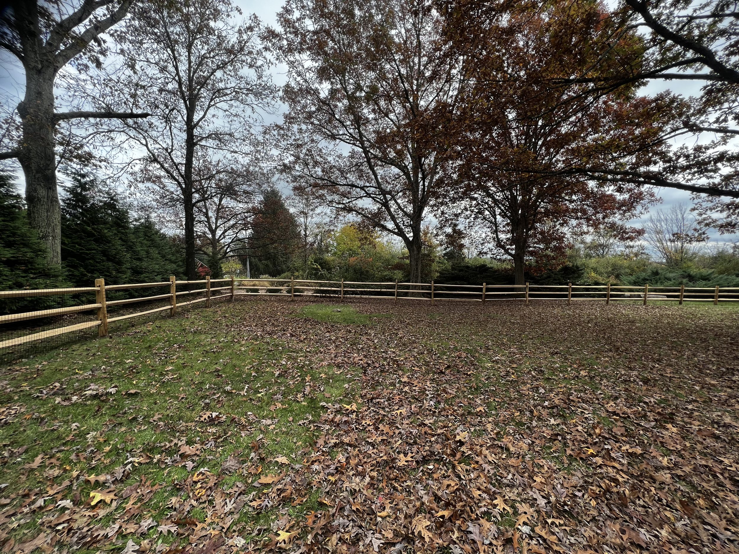 Yeakel fence 1.jpeg