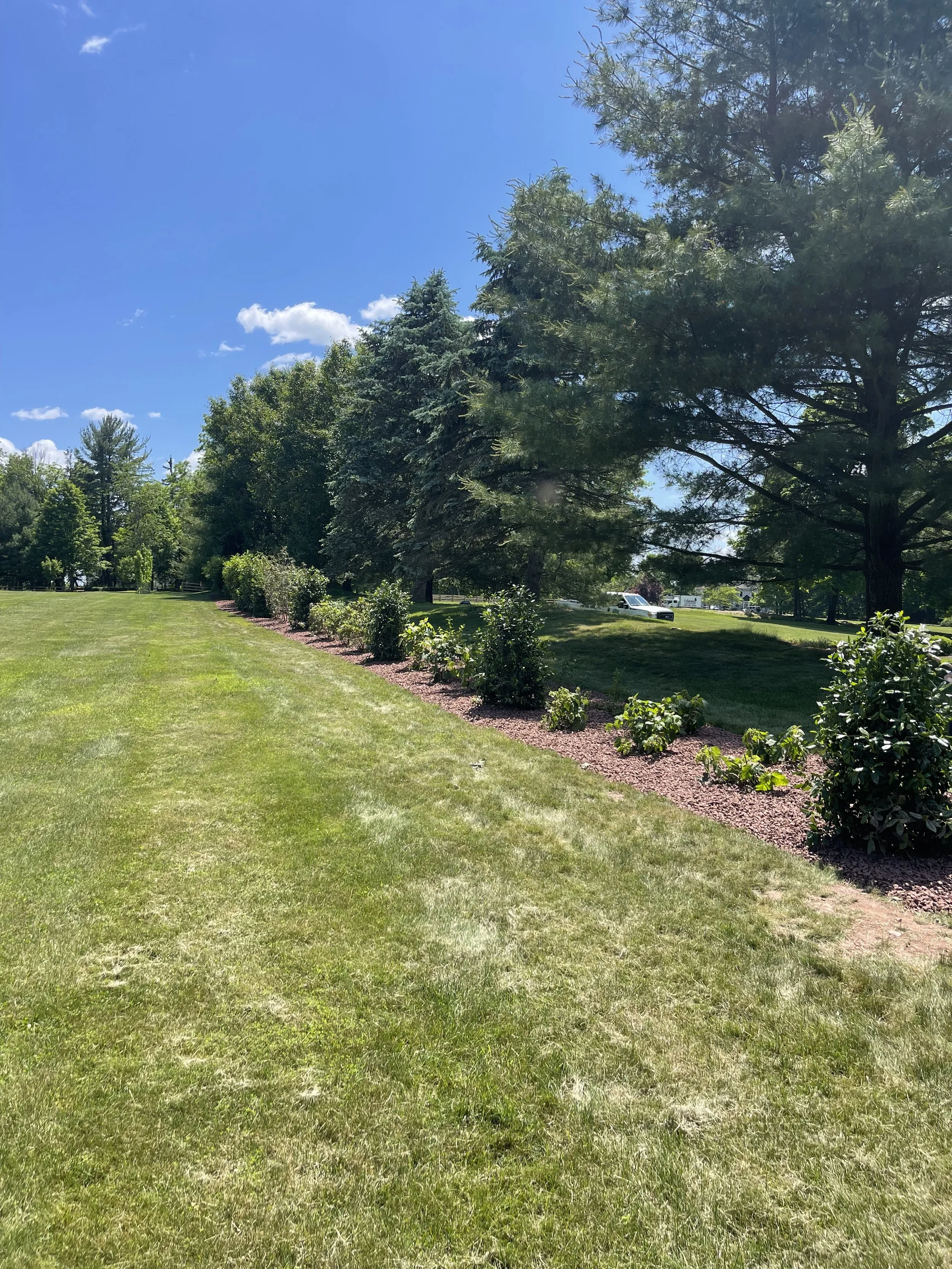 Sander - living fence 1.jpeg