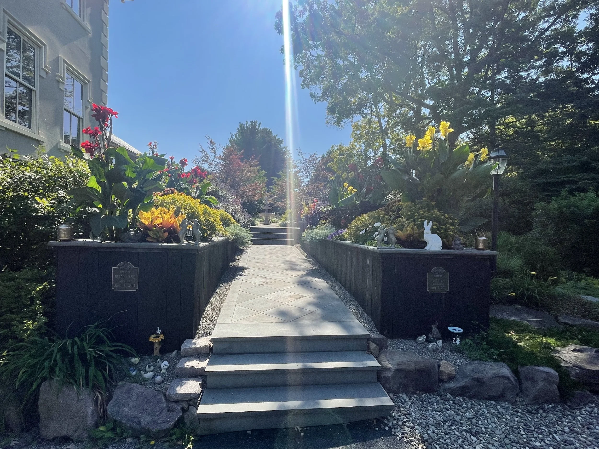 Debaradine - 2025 annuals after 9.jpeg