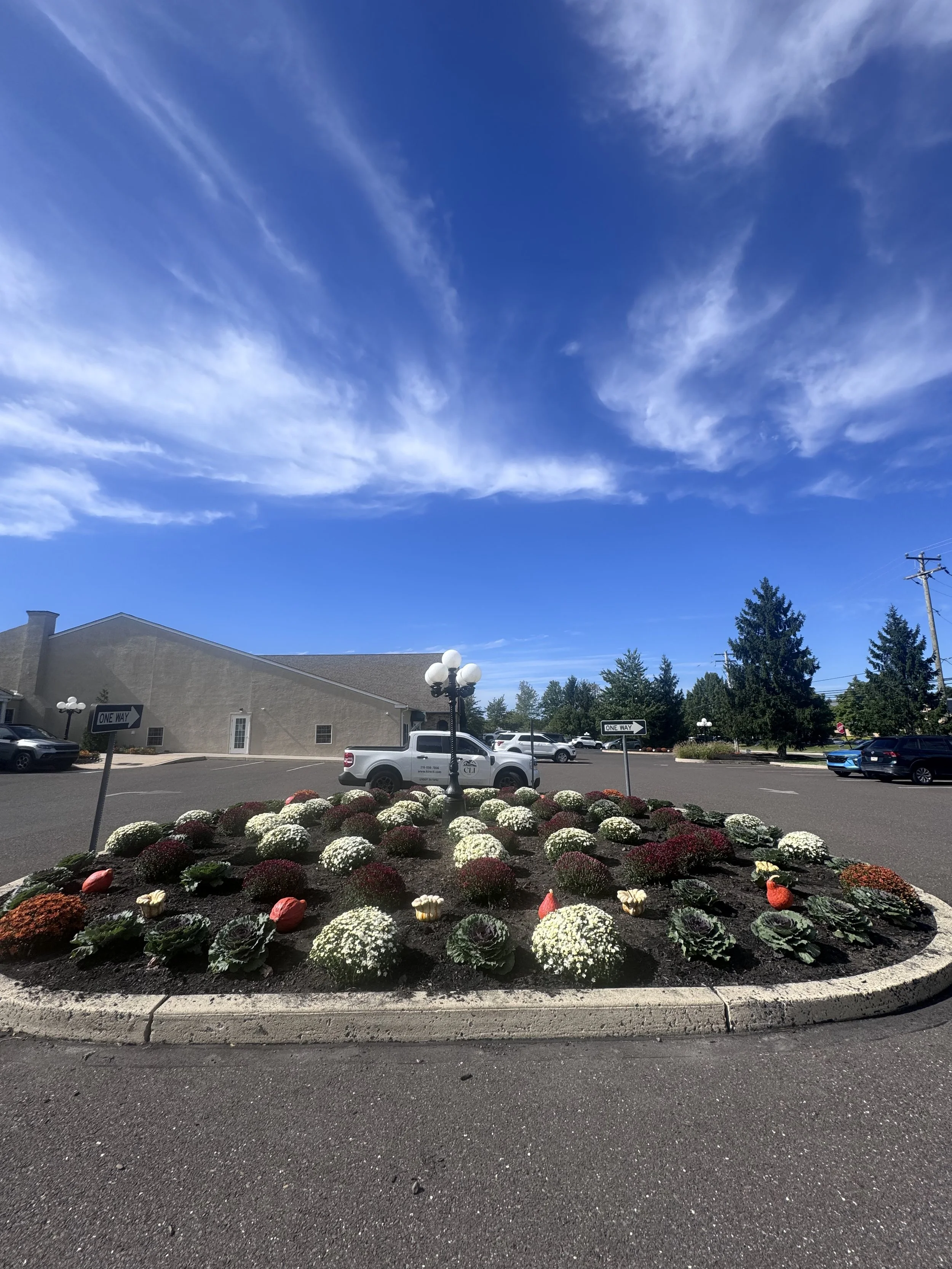 IMG_7369.jpeg
