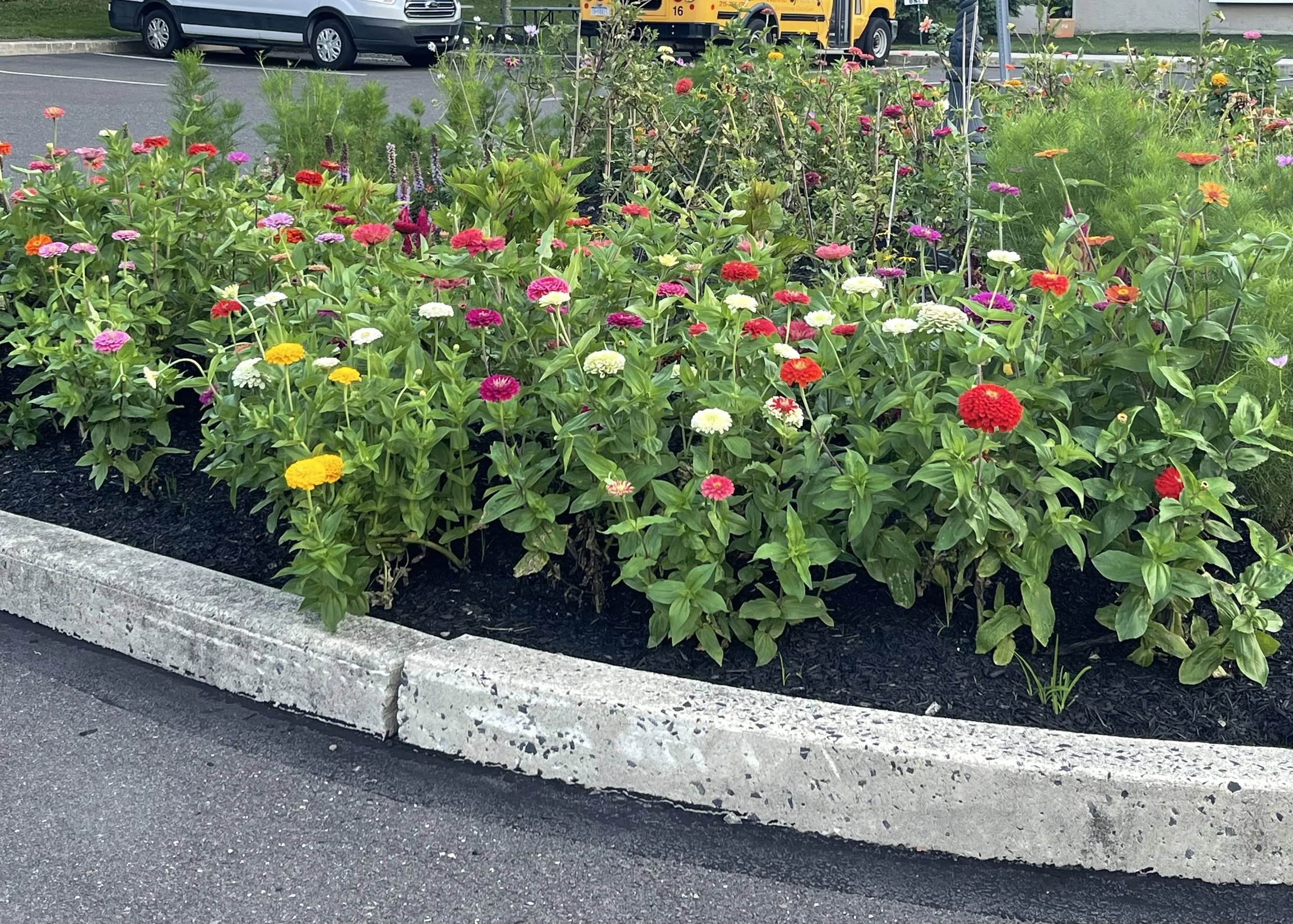 Kiddie Acedemy -annuals 1.jpeg