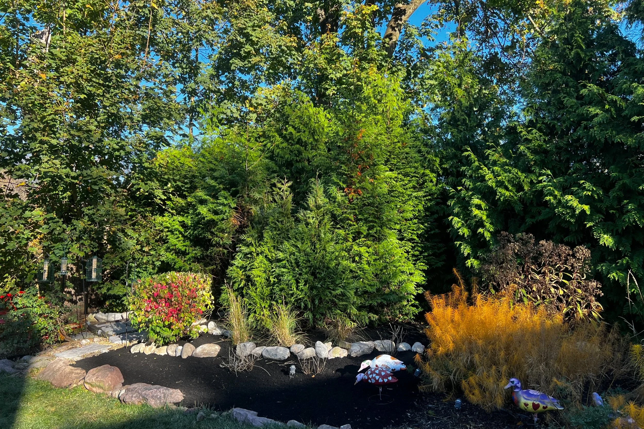 Terra D - After picture.jpg