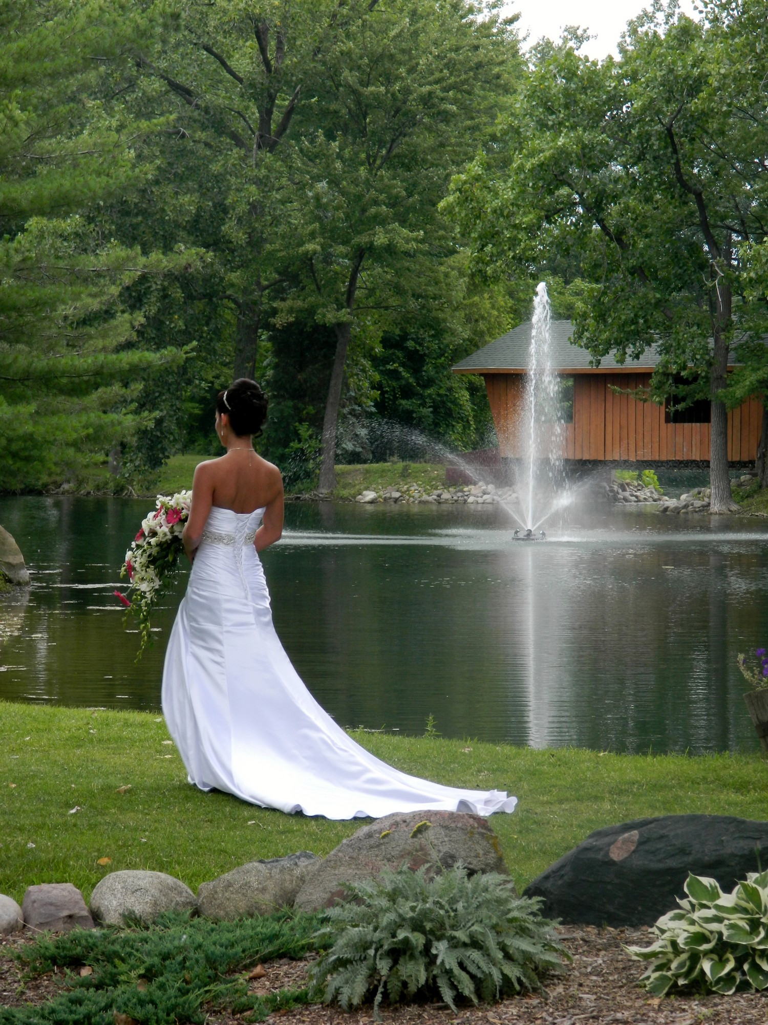 The Dress