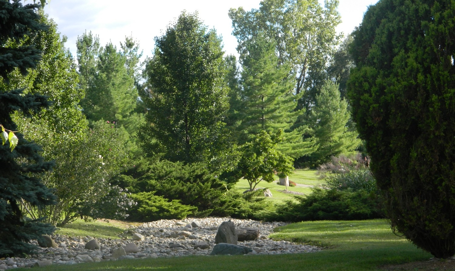 Empty River Bed
