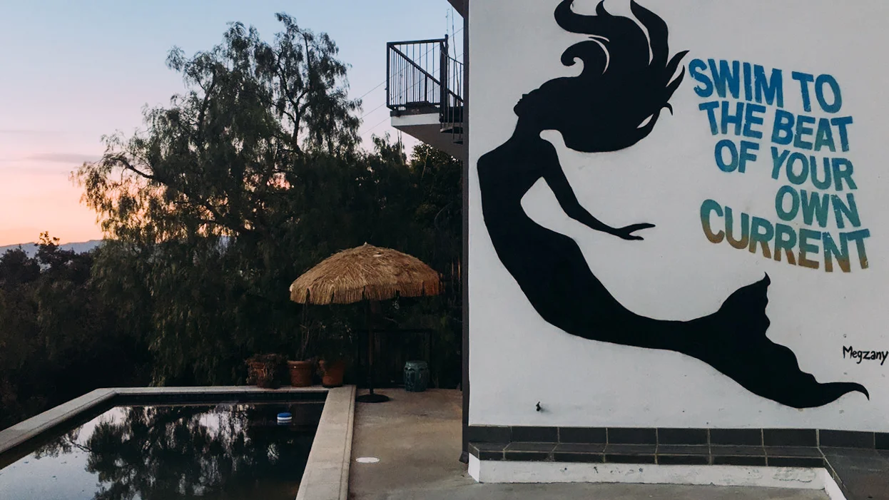 Arsenic Gallery: Meg Zany