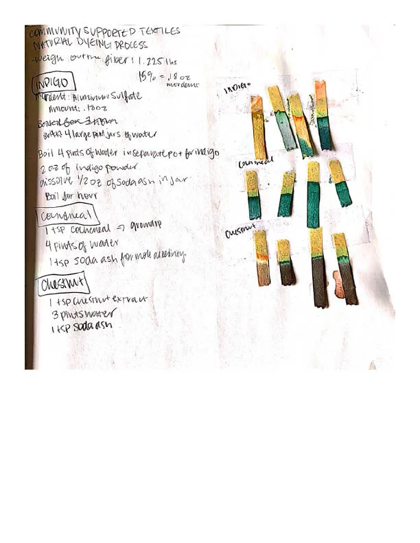Natural Dye Notebook14.jpg