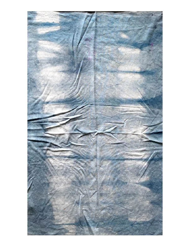 Natural Dye Notebook12.jpg