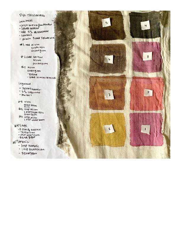 Natural Dye Notebook8.jpg