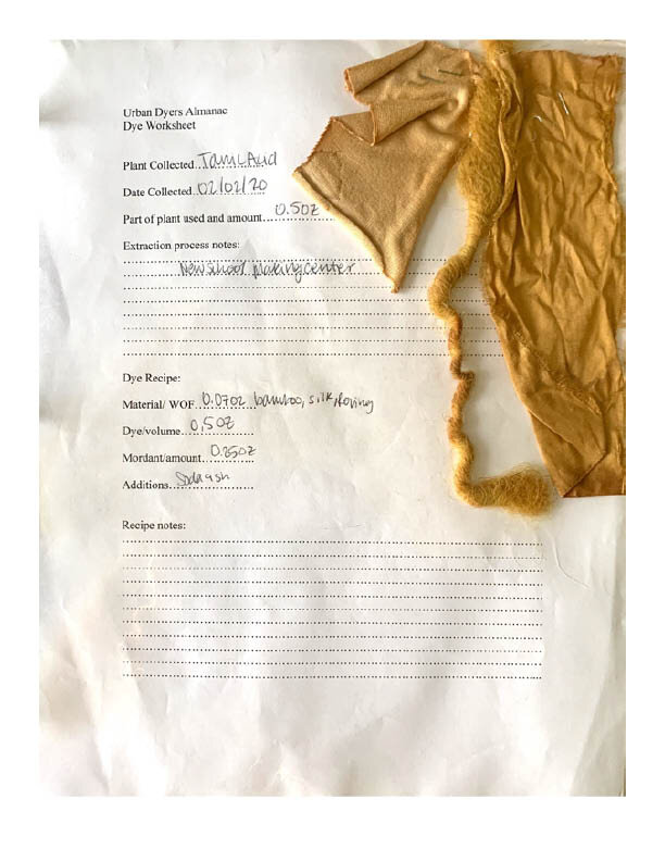 Natural Dye Notebook4.jpg