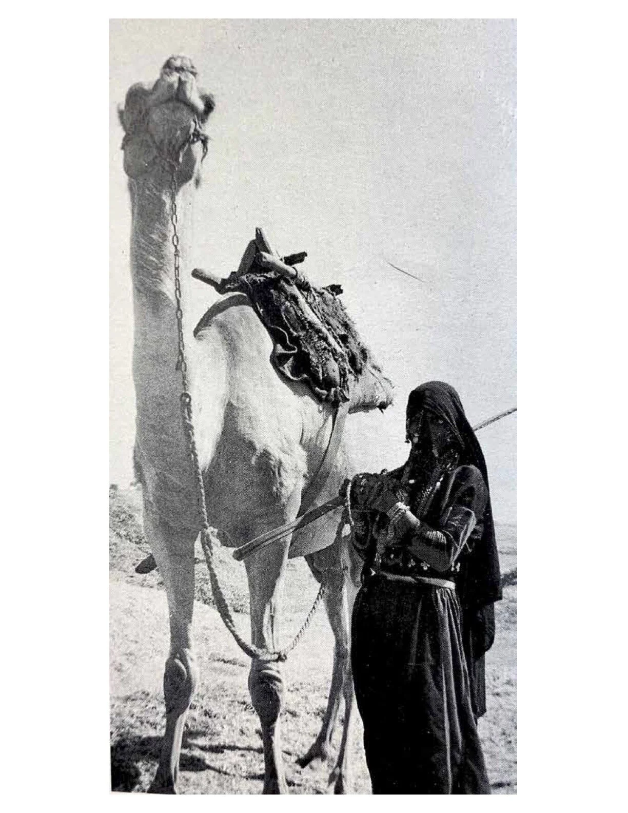 Palestine Research (2).jpg