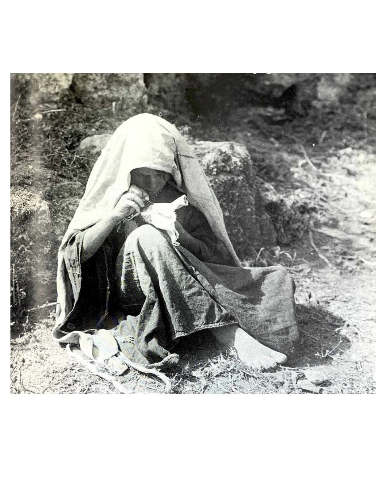 Palestine Research (7).jpg
