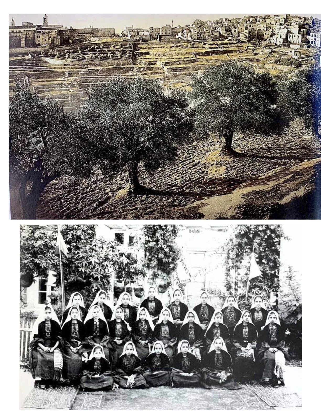 Palestine Research (22).jpg