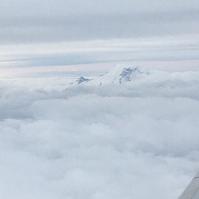 Mt Rainier poking through the clouds on my flight home from Seattle