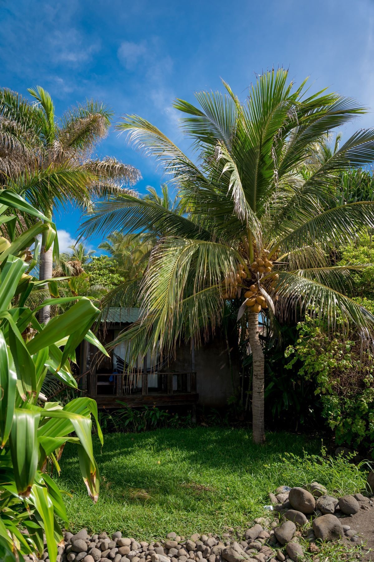 Mizata Beachfront Bungalow 1.jpg