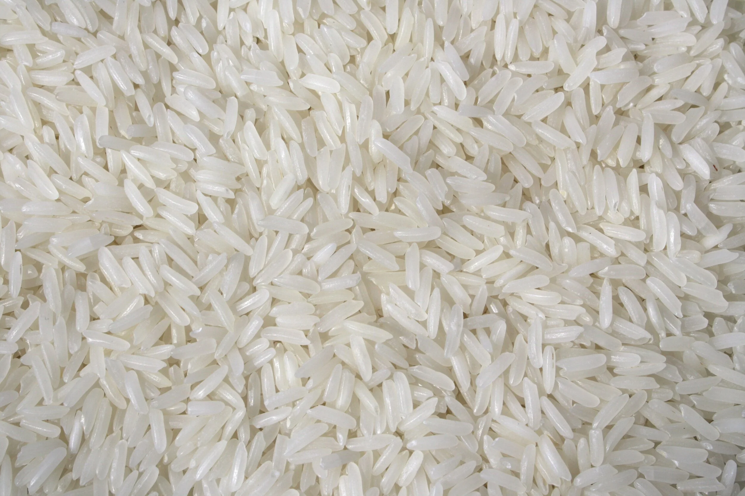 White Rice.jpg