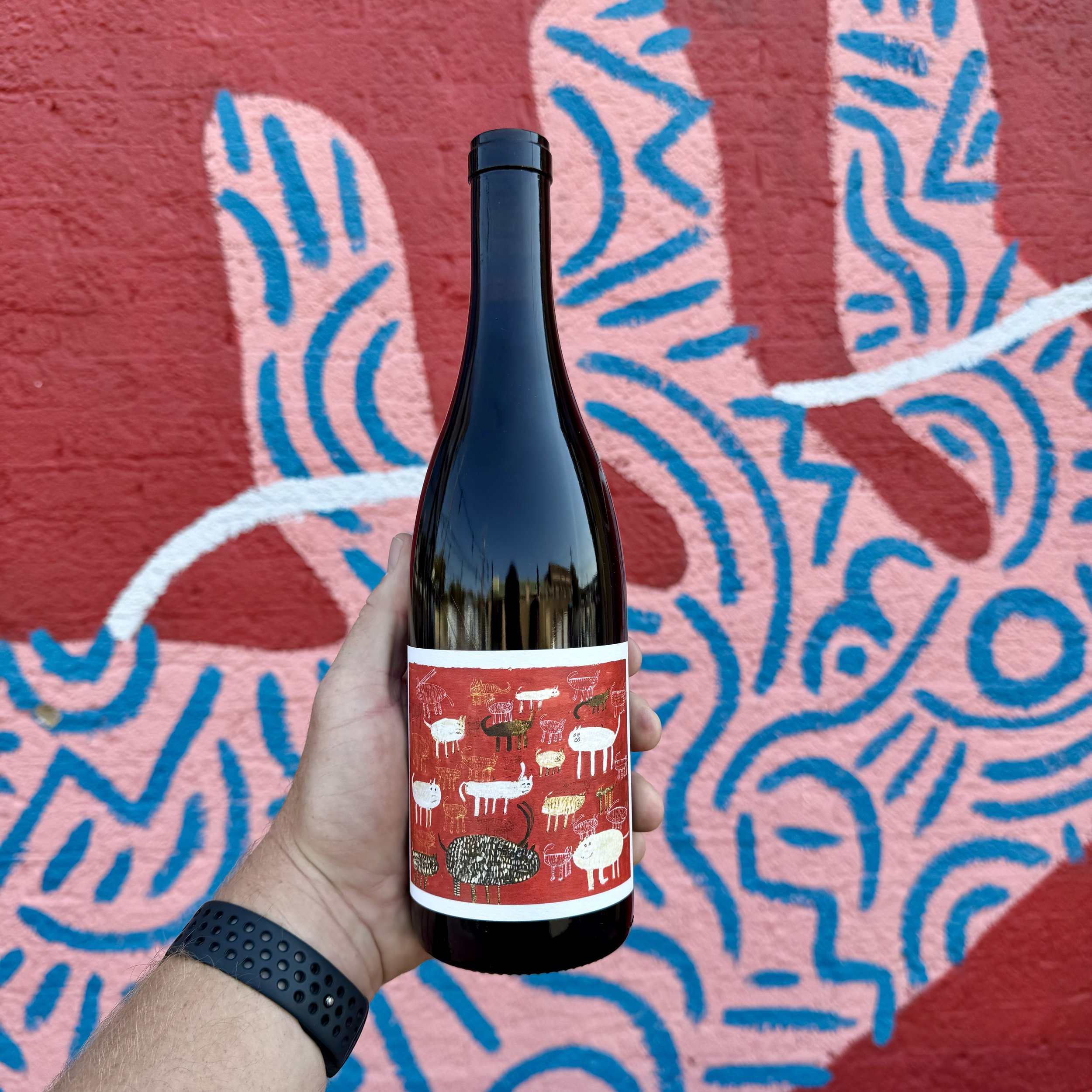 Jolie Laide, Gamay, Sonoma 2023