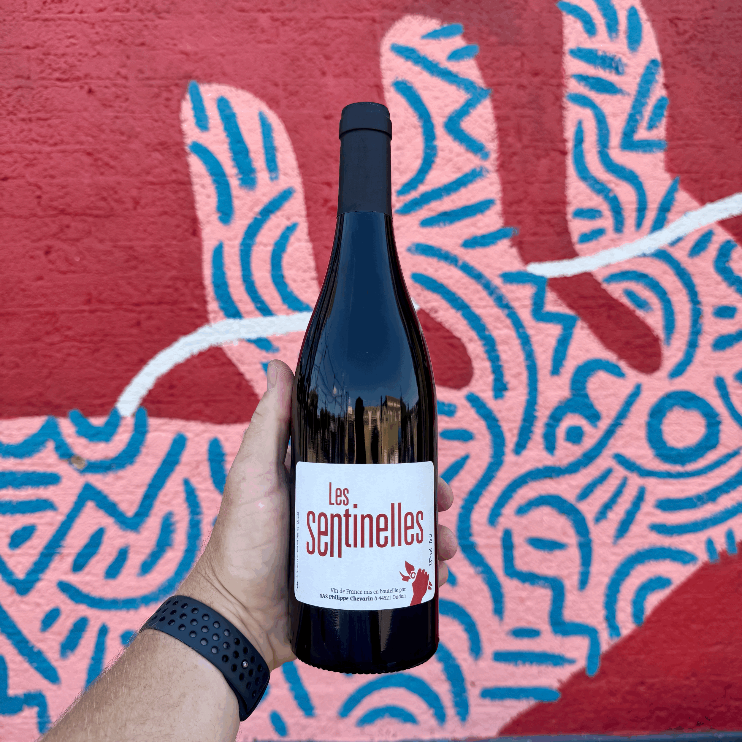 Philippe Chevarin 'Les Sentinelles', Vin de France NV