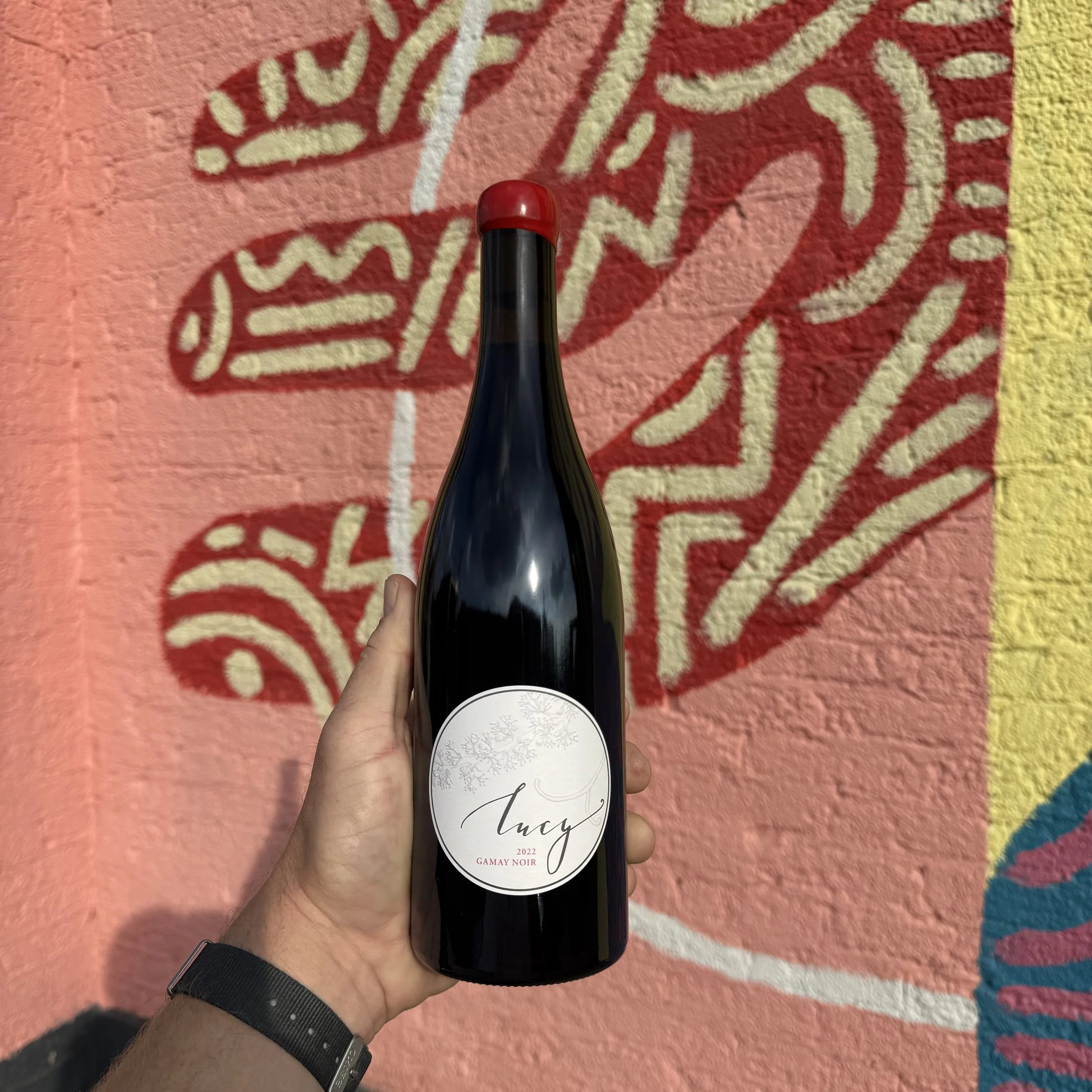 Lucy, Gamay Noir, Santa Lucia Highlands 2022