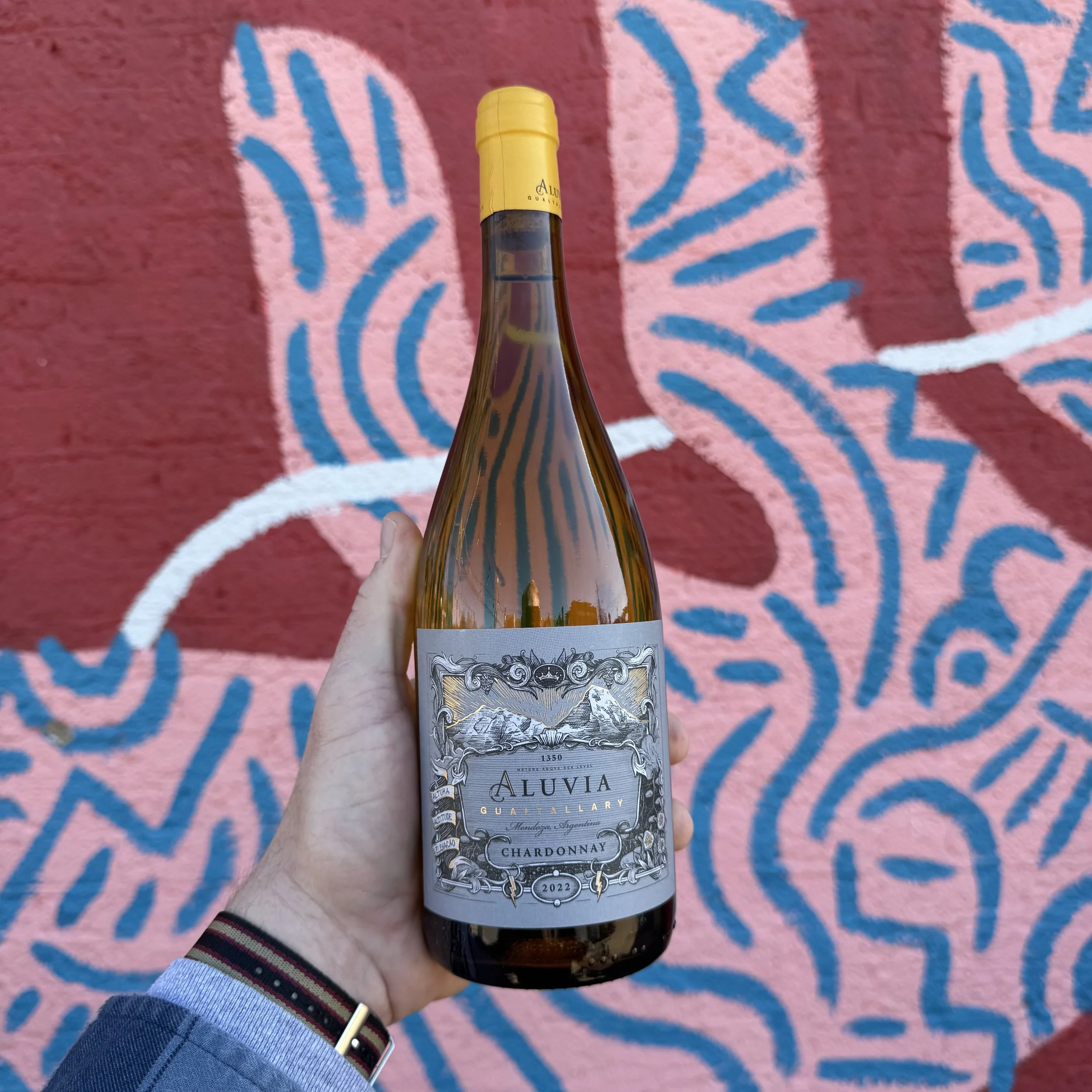 Aluvia, Chardonnay, Mendoza 2022