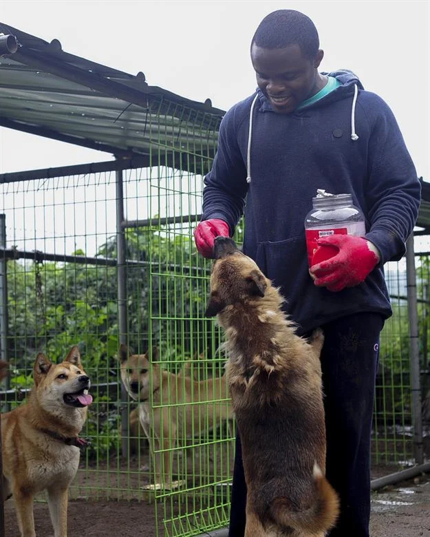08_animal-shelter-volunteer.jpg