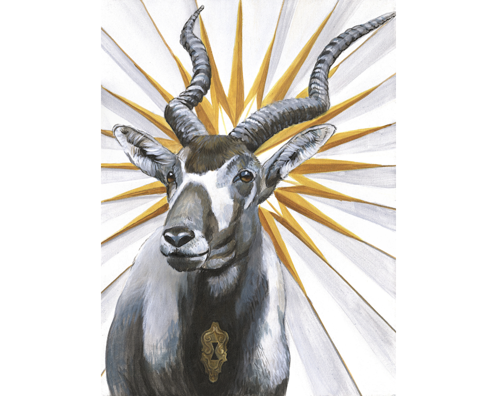 Addax - Web.png