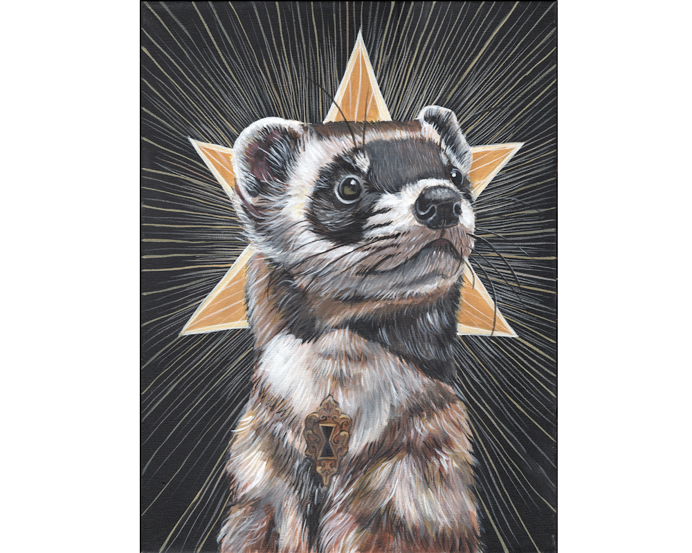 Ferret - Web.png