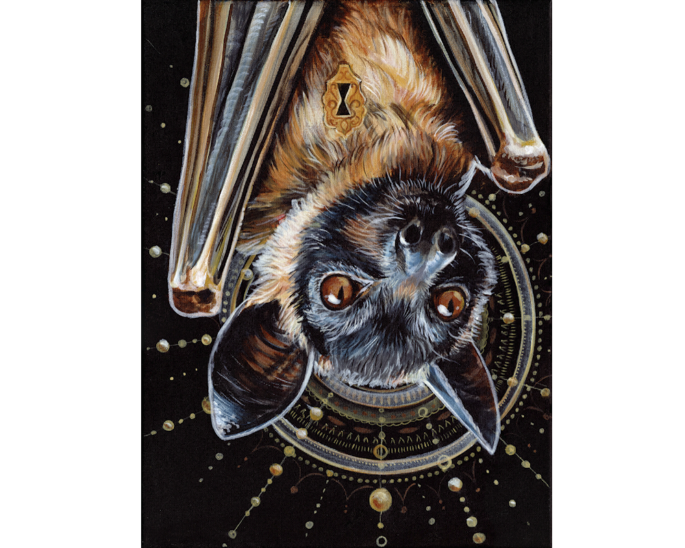 Bat - Web.png