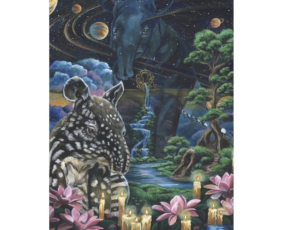 Tapir - Web.jpg