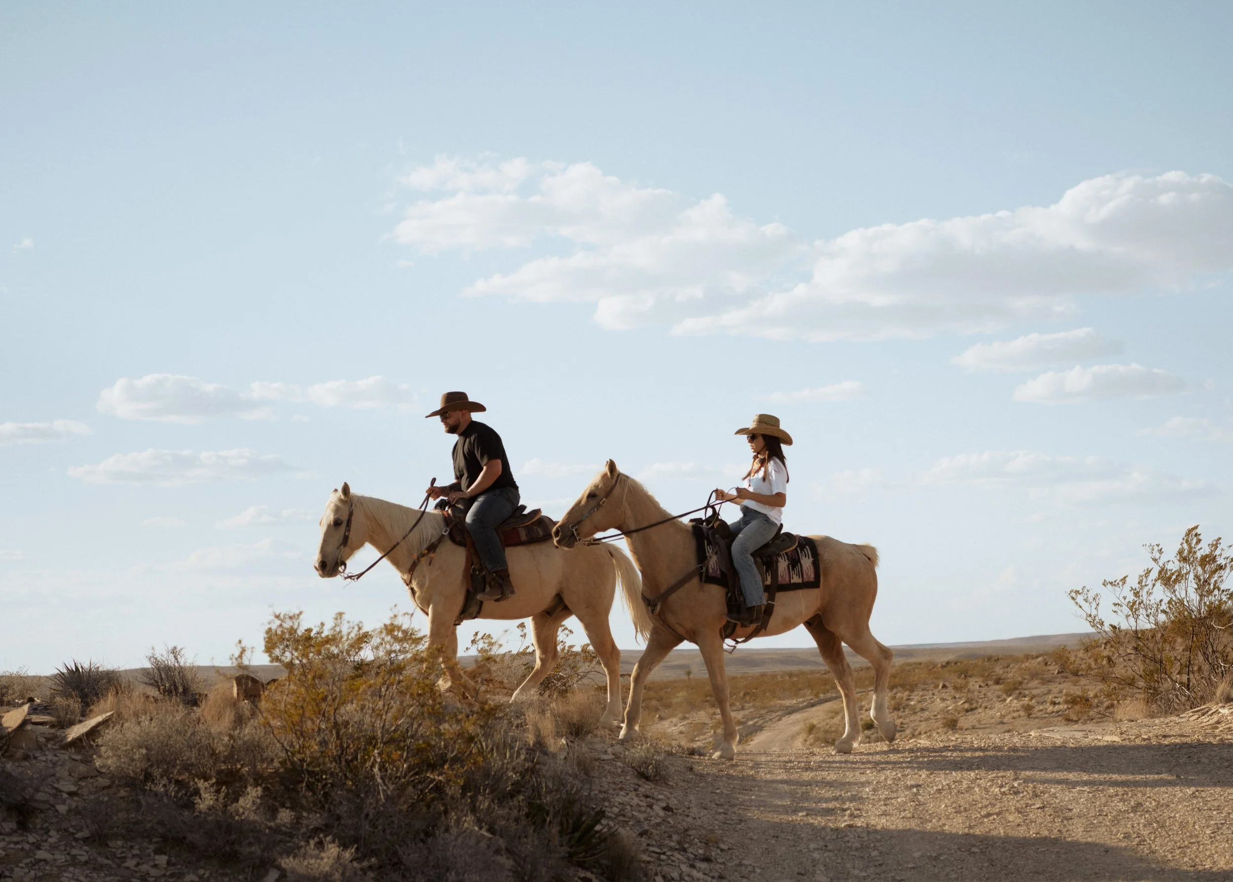 Western Big Bend Elopement Experience4.jpg