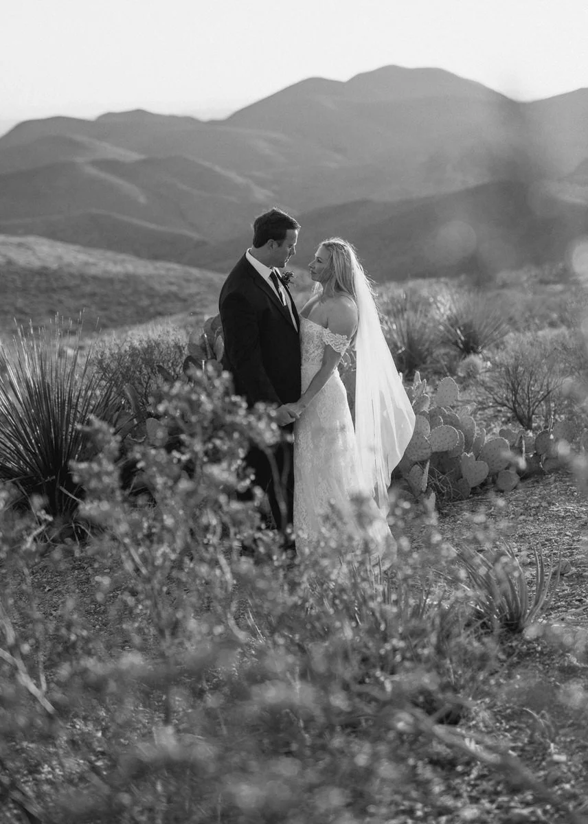 Bride and groom standing in a desert landscape, looking at each other romantically, with mountains in the background.