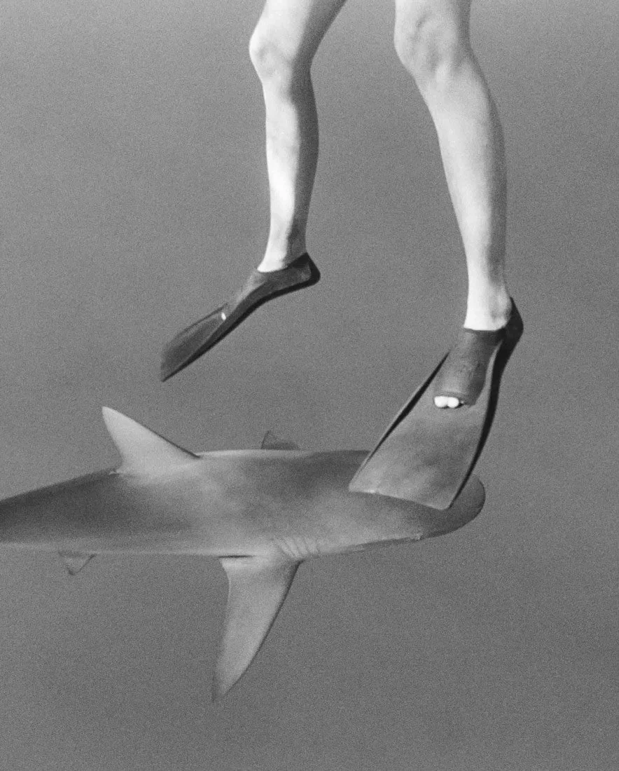 A black-and-white photo of a person wearing high heels, balancing on the dorsal fin of a shark in midair.