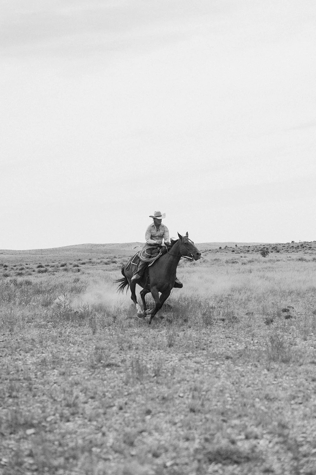 cowboygirl-fall-2025-highlights-23_websize.jpg