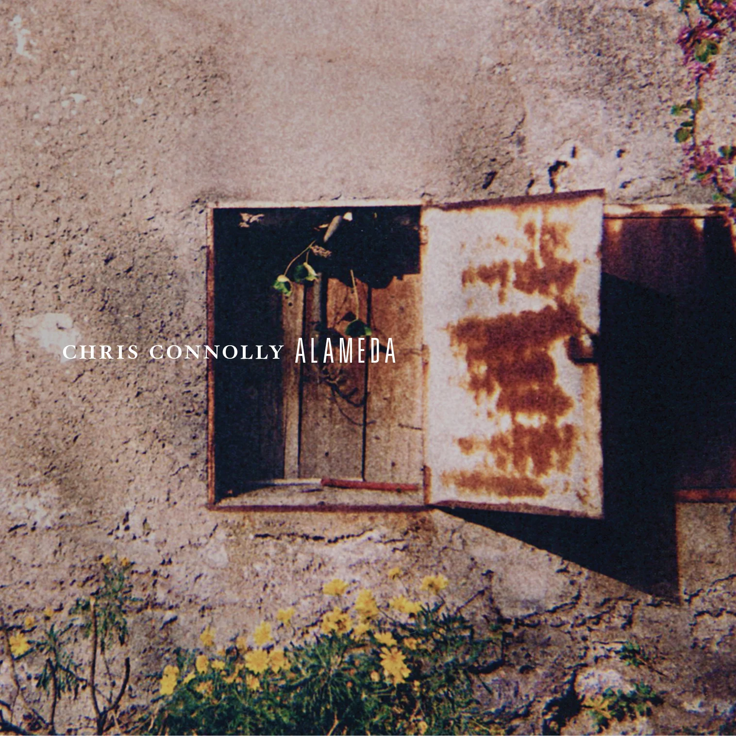 Chris_Connolly_Alameda_2481_4PAN_GATEFOLD_WALLET.jpg