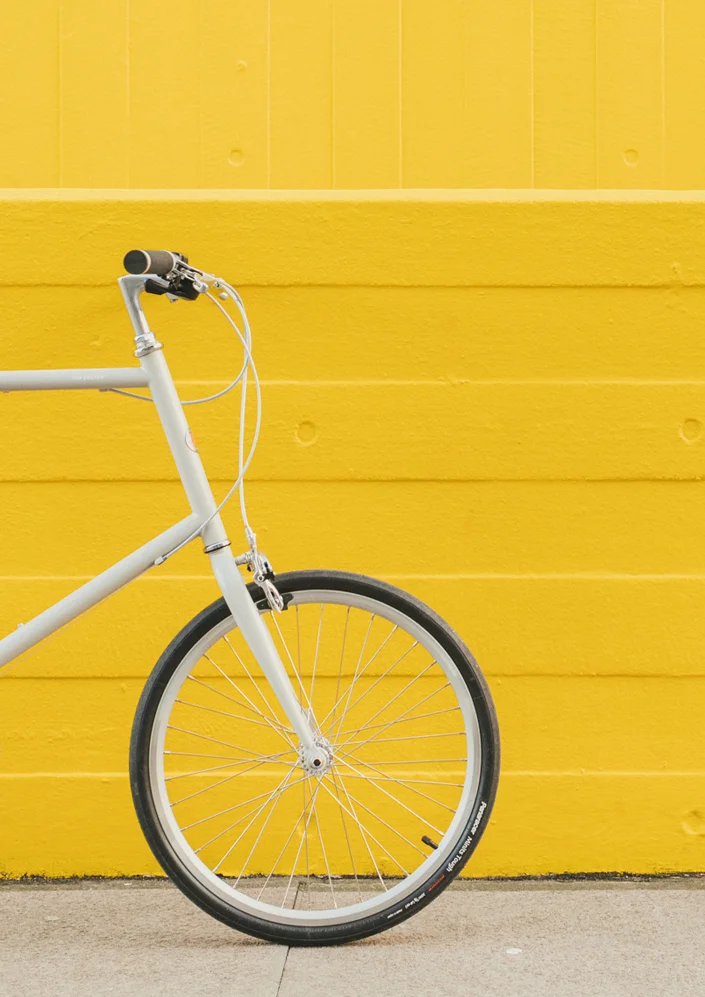 tokyobike x coral monday