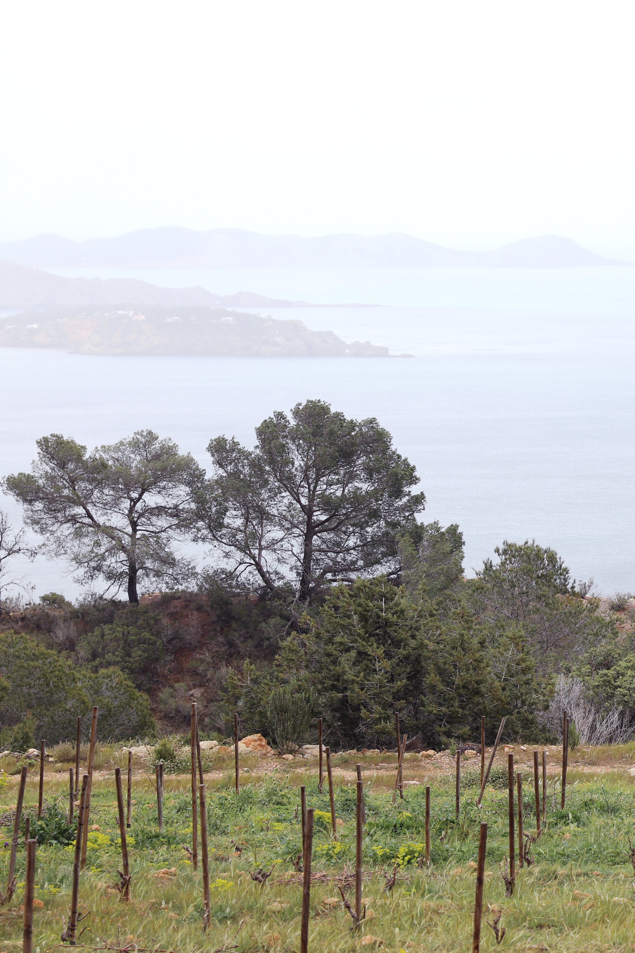 02_Es_Cubells_Ibiza_20180414_©xtm_006.jpg