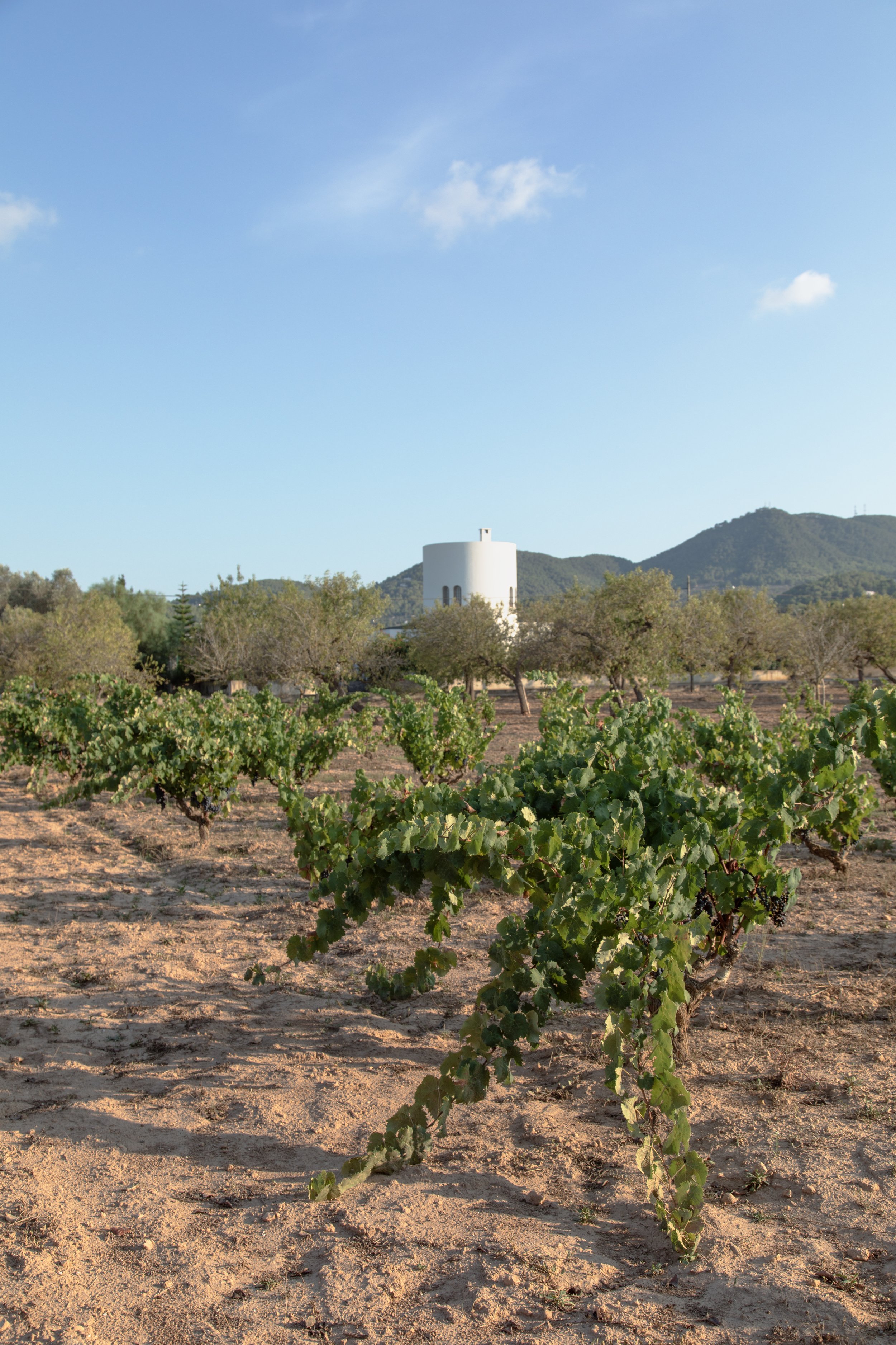 06_Clos_Algarrobo_Ibiza_20180822_©xtm_060.jpg