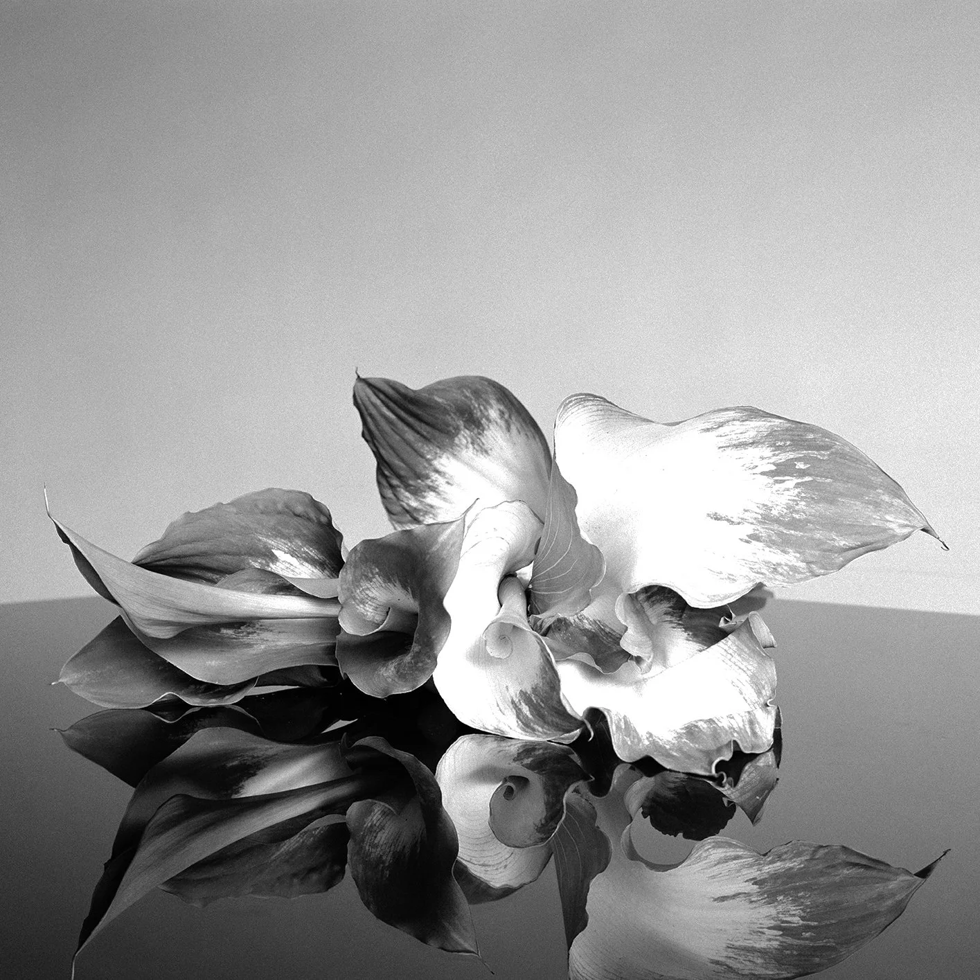 Callas.jpg