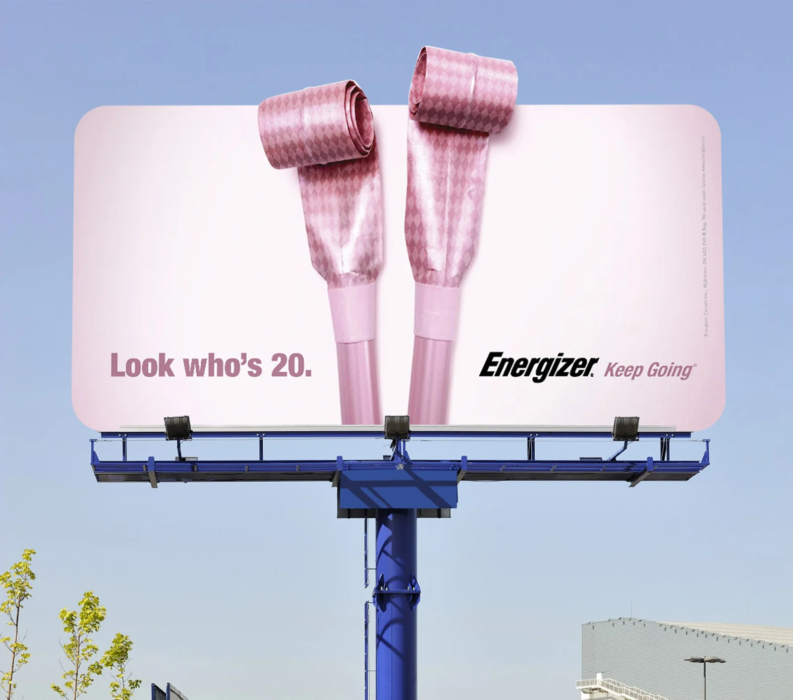 ENERG_BUNNYEARS_SITU_3.jpg