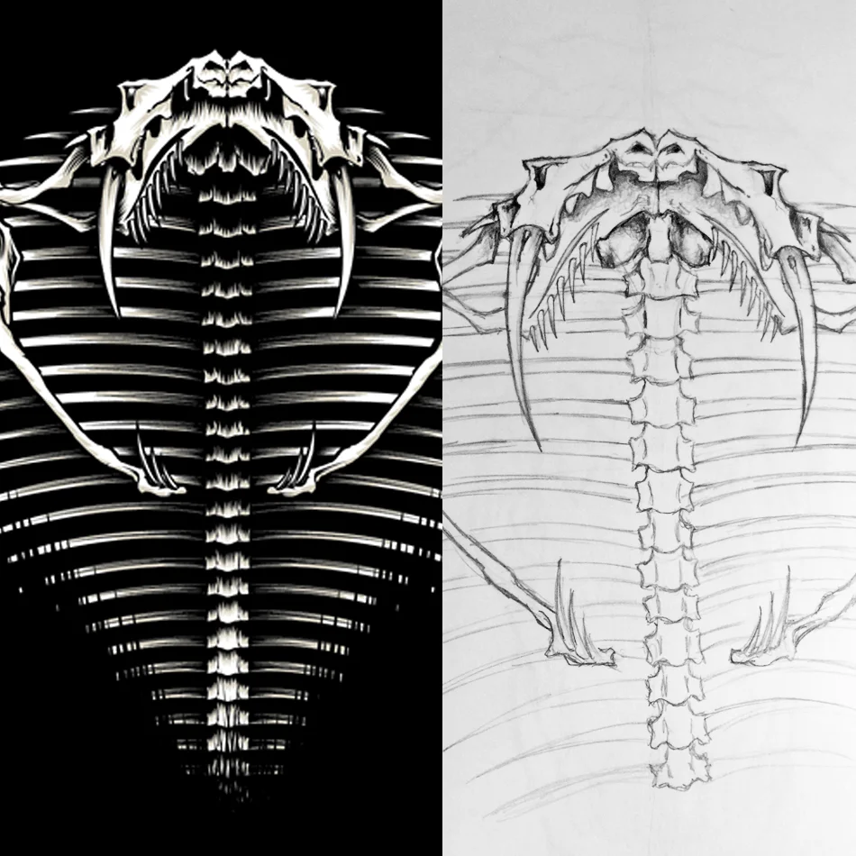 Illustration Snake.jpg