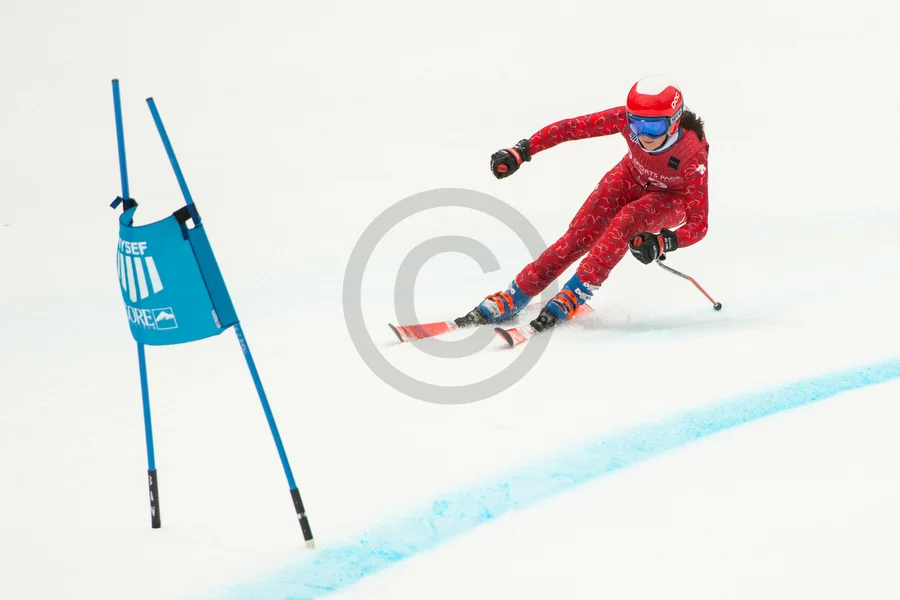 u16 ski racing