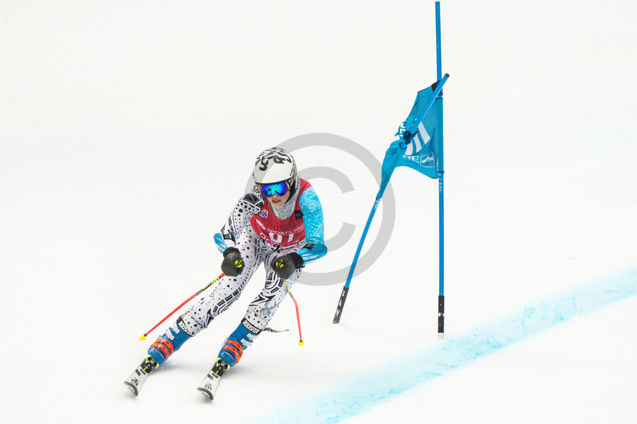 u16 ski racing