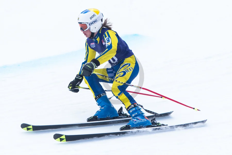 u16 ski racing